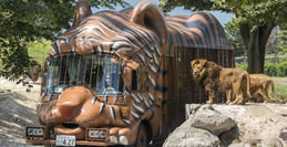 アフリカンサファリ