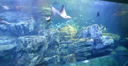 大分マリーンパレス水族館うみたまご